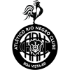https://img.thesports.com/football/team/a3c77392ea541f79b991a01b00e8cc56.png