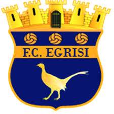 Egrisi Senaki logo