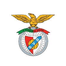 Thể thao Viseu Benfica U19