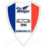 Suwon Samsung BlueWings FC (R)