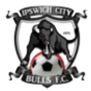 Ipswich City Reserves logo
