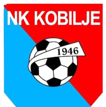 https://img.thesports.com/football/team/a6fa727f501d3d644bac702c3e714066.png