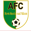 AFC Nove Mesto nad Vahom U19 logo