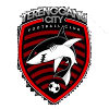 Terengganu City FC logo