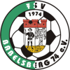 https://img.thesports.com/football/team/abfd950730a5232dcf4947abea585e97.png