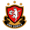 Logo HNK Gorica W
