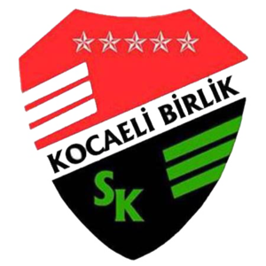 Kocaeli Birlik Spor U19 logo