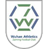 Hubei Athletics Zaiming