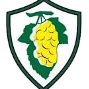 https://img.thesports.com/football/team/afef3de2a0eb74b670261bd62e1e27a0.png