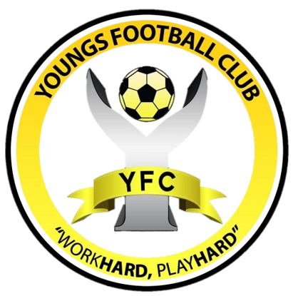 https://img.thesports.com/football/team/b55c30baf93523561d0c10a6404d783d.png