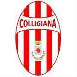 Colligiana logo