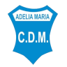 Deportivo Municipal AM