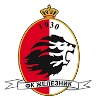 Zeleznik U19 Logo