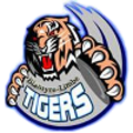 Azam Tigers FC logo