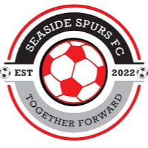 海滨刺队 - 图标