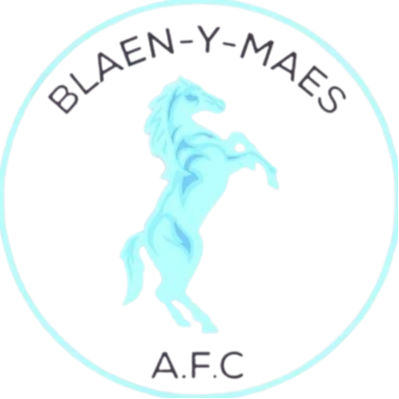 Blaen Y Maes