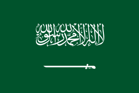 Saudi Arabia Logo