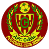 AFC Celtic Minsk logo