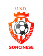 USD Soncinese logo