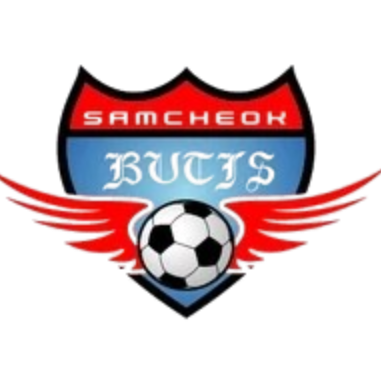 Samcheok Shinwoo Electronics logo