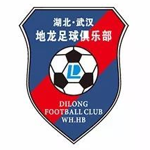 Wuhan Dilong TGU Futsal logo