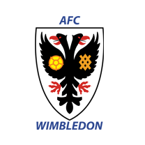 AFC Wimbledon XI