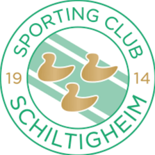 https://img.thesports.com/football/team/c45b0544c6af08cda342d49d1105c9be.png