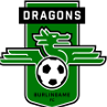 Burlingame Dragons