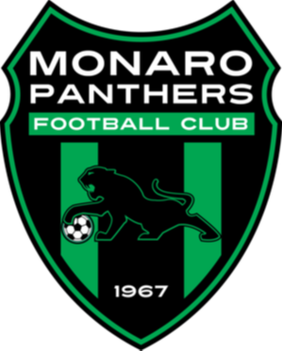 Monaro Panthers (w) logo
