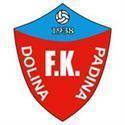 FK Dolina Padina logo