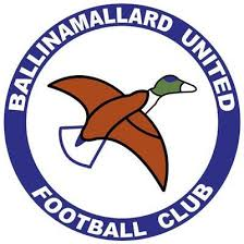 Ballinamallard Utd Reserves logo