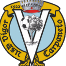 Vigor Carpaneto logo
