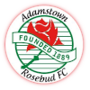 Adamstown Rosebud reserve logo