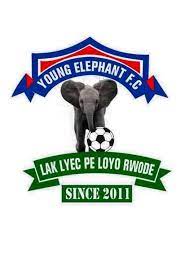 Logo Young Elephant FC
