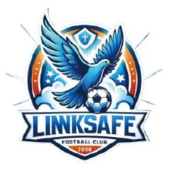Ji'nan Linksafe logo