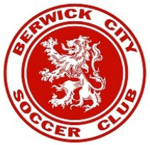 Berwick City Reserves logo