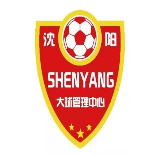 沈阳大球中心U15