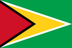 Logo Guyana U20