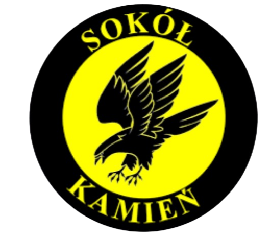 Sokol Kamien