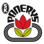 Panerys Vilnius logo