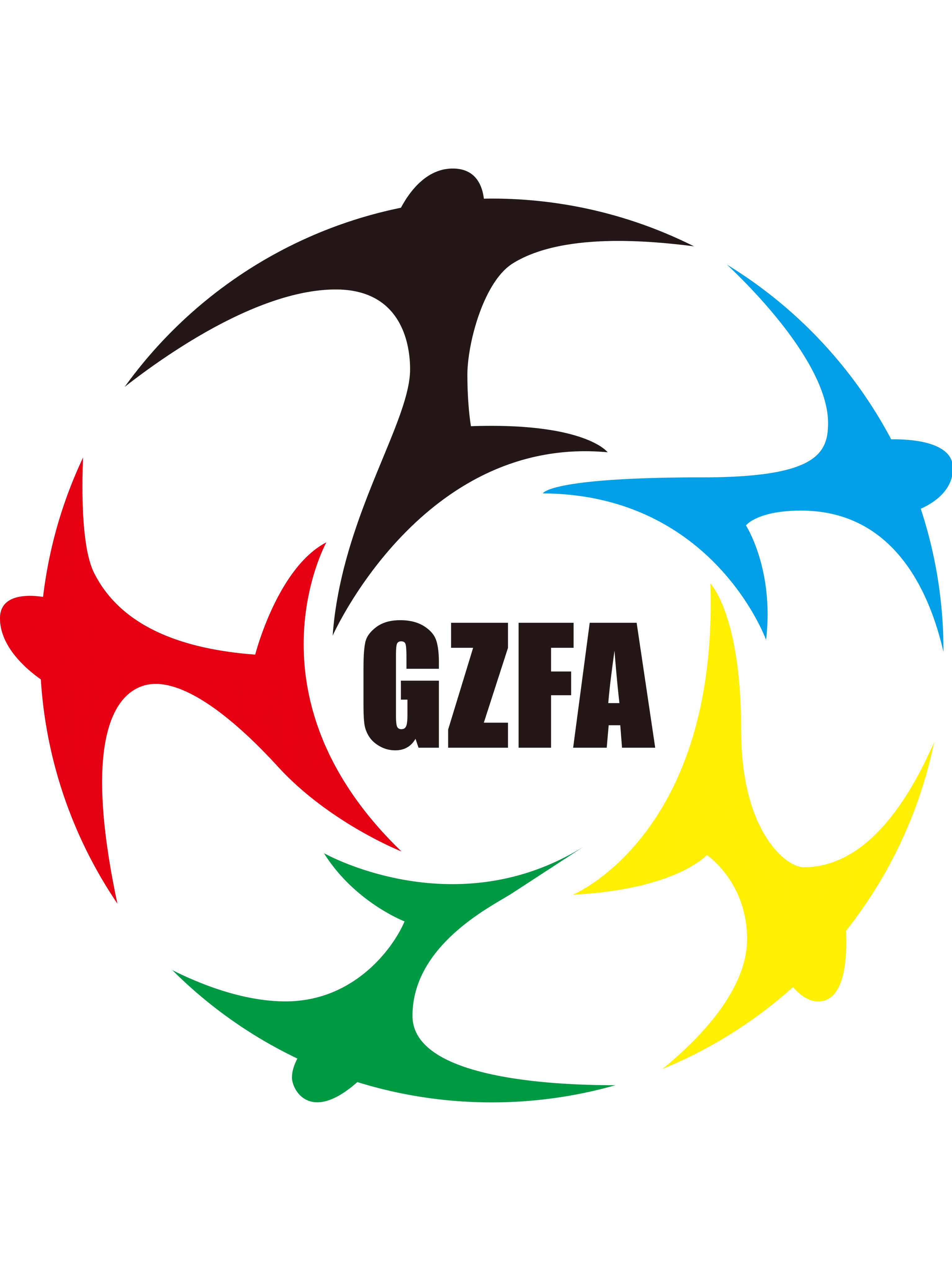 Guizhou U20