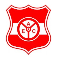 Auto Esporte PB Youth logo