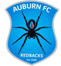 https://img.thesports.com/football/team/dec93d1dcd3a8b87a4959f1442f65a7b.png