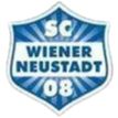 1. Wiener Neustädter SC Youth