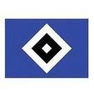 Logo Hamburger SV (Youth)