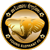 Young Elephants FC 2 logo