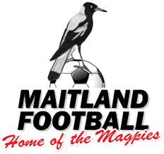 Maitland FC U20 logo