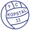 https://img.thesports.com/football/team/e58d3aee090862c51013776b84a27a02.png