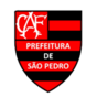 https://img.thesports.com/football/team/e8963cbbfcde8d92fd781c5f983a8494.png