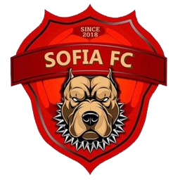 https://img.thesports.com/football/team/e98219c001f7ff1bb0356f6704067805.png